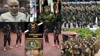 BREAKING NEWS: MAZI NNAMDI KANU RELEASE IS WILL BRING NATIONAL PEACE AS NIG ARMY VS BIAFRA ARMY