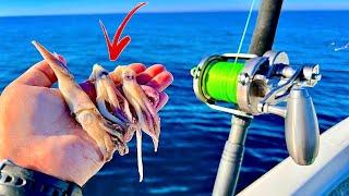 Fishing 55 miles out on a *24ft* Bay Boat for our LUNCH....[Catch, Clean, Cook]