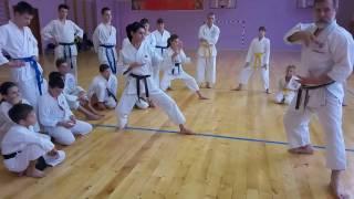 How to Kokutsu dachi shotokan karate / Правильное Кокутцу дачи в Шоткан каратэ