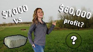 412How THIS Crop Makes $60,000 PER ACRE and WHY We Switched  - Big Gamble on a First Generation Farm