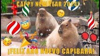 Recopilación carpinchos 2023 Feliz Año Nuevo!