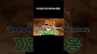 도대체 왜? ‘심심한 사과’라고 하지? #상식적인 #영어 #어휘 #정치