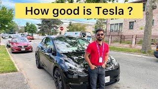 How good is Tesla? World Cup के साथ Tesla की सवारी। #t20worldcup #tesla