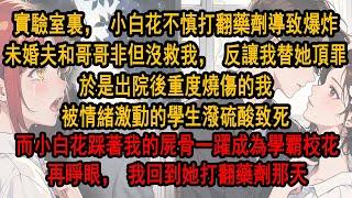 實驗室裏，小白花不慎打翻藥劑導致爆炸，未婚夫和哥哥非但沒救我，反而讓我替她頂罪。於是重度燒傷的我，被情緒激動的學生潑硫酸致死。而周可哥踩著我的屍骨一躍成為學霸校花。 再睜眼，我回到她打翻藥劑那天