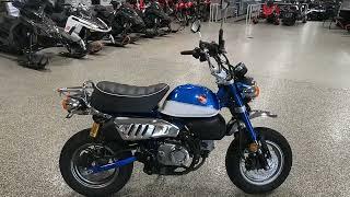 Used 2021 Honda Monkey Motorcycle For Sale In Lakeville, MN