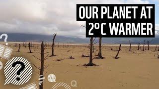 What happens if the planet warms by 2°C? | WWF