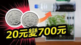 用20元瓶子DIY過濾器！養魚的省錢大師就是我