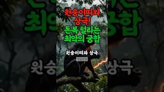 원숭이띠, 재물운 최악 궁합 띠 #운세 #재물운 #풍수