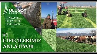 Caramba Eken Çiftçilerimiz Anlatıyor #1 - Ulusoy Tohumculuk