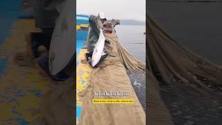 차분하셨던 팀장님이 이렇게 변했습니다 #남해 #아쿠아리움 #팀장 #어선 #외국인