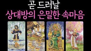 【타로】️소름주의️🩷곧 드러날 상대방의 은밀한 속마음🩷속마음 짝사랑 연애 썸 재회 이별 커플