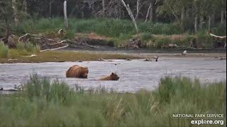 402s Return to Katmai (explore.org RW cam) 06.30.24