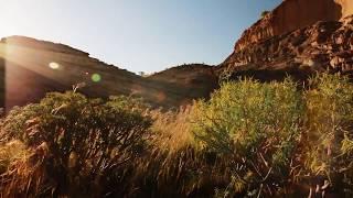 Tenerife - Vívela y Siéntela Naranja.