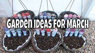 What to do in the Garden in March - Scottish Vegetable Garden / MoggyBoxCraft