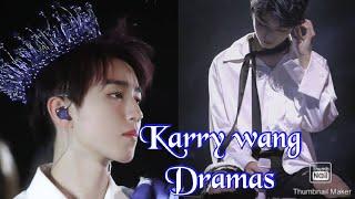 Drama list of karry wang/wang junkai
