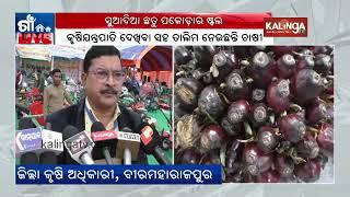 Agricultural Machinery Exhibition organized in Subarnapur || Kalinga TV