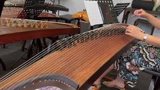 Guzheng - Ban Shan Ting Yu 古筝演奏-半山听雨