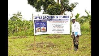 How Kuffel Creek Came to Africa - Part 3 Uganda