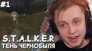 СТИНТ ИГРАЕТ в STALKER: ТЕНЬ ЧЕРНОБЫЛЯ #1 // ПРОХОЖДЕНИЕ СТАЛКЕРА