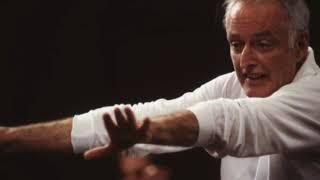 Brahms, Symphony no. 2 in D major, op. 73: Kleiber/VPO/live in 1988