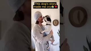 Dog Found a Loving Owner After Being Abandoned ️ #shorts #dog #rescue