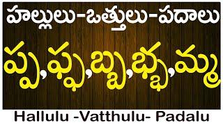 Pa Pha Ba Bha Ma | How to write vattulu | వత్తులు పదాలు |Hallulu vatthulu padalu in telugu