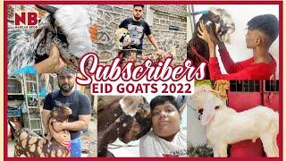 Eid 2022 Subscriber's Goats Special | Narkar Bros