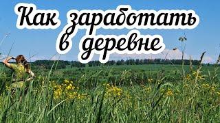 Как заработать в деревне? Мой опыт удаленной работы ‍