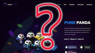 PunkPanda мессенджер - заработок или мошенничество, расследуем