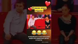 Мать троих детей и двух собак,да, я с ними «одна»🫶#многодетнаямама #многодетнаясемья #мамаблог #топ