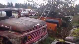 Huge abandoned classic car collection