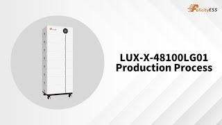 LUX-X-48100LG01 Production Process