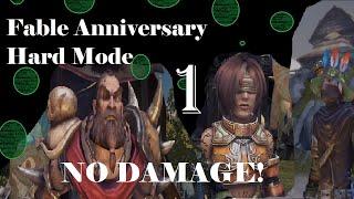 Fable Anniversary - Heroic Mode - No Damage - Part 1 - From Raid to Revenge