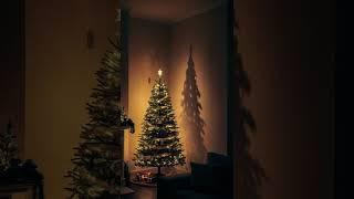 The Christmas Tree's Shadow: A Chilling Holiday Horror stories