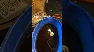 oil filter change" Mercedes" #shots
