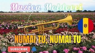 NUMAI TU ️ CEA MAI FRUMOASĂ MUZICĂ MOLDOVENEASCĂ  COVER LA TROMPETĂ