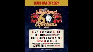 SENSATIONAL 60s EXPERIENCE  AUTUMN '24   MIKE D'ABO, STEVE ELLIS, DMBT, TREMS, FORTUNES, VANITY FARE