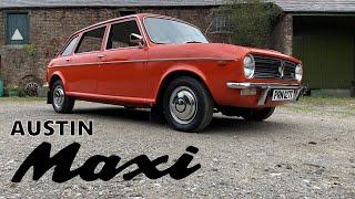 The Austin Maxi is the Epitome of British Leyland's Genius and Failure