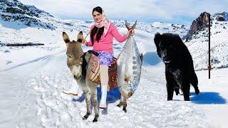 Village Lifestyle Iran: Amazing Fish Cooking & Donkey Riding By A Girl