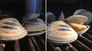 Grilled Clams Recipe - Little Neck Clams How To BBQ Tricks