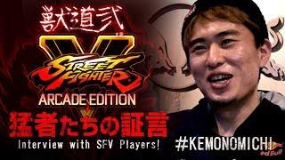 Daigo Presents Kemonomichi 2 - Interview with SFV Players!