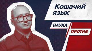 Как понимать котов — объясняет зоопсихолог // Наука против