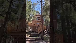 Checkout this opportunity & make a Big Bear Cabin your home or Rental! #bigbear #bigbearlake #shorts