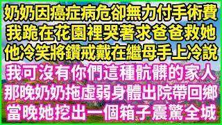 奶奶因癌症病危卻無力付手術費，我跪在花園裡哭著求爸爸救她，他冷笑將鑽戒戴在繼母手上冷說：我可沒有你們這種骯髒的家人！那晚奶奶拖虛弱身體出院帶回鄉，當晚她挖出一個箱子震驚全城！#情感故事 #花開富貴