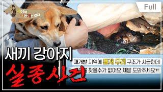 [Full] 세상에 나쁜 개는 없다 - 새끼 강아지 실종 사건