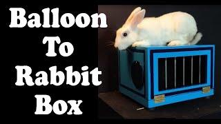 Balloon to Rabbit Box