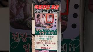 백종원의 데뷔작
