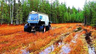 ВОЛК РЯДОМ! ЛОВУШКИ СРАБОТАЛИ! ТОНУ В РЕКЕ, "ВСЁ ТОПИТ" СТРАШНО!  ВЫЖИТЬ В ТАЕЖНЫХ УСЛОВИЯХ!