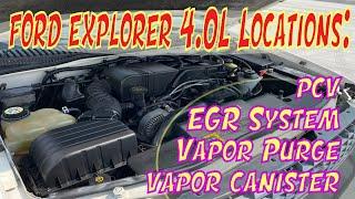 ⫷ Ford Explorer / Mountaineer 4.0L Locations & Info: EVAP canister, PCV valve, & EGR System ⫸