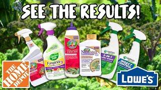 Testing the TOP ORGANIC PESTICIDES from HOME DEPOT and LOWES! Do they ACTUALLY WORK?